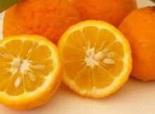 naranja amarga
